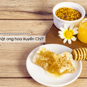 Giá bán mật ong cỏ Kim-mật ong hoa xuyến chi