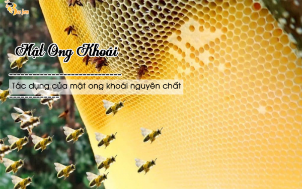 Cách sử dụng mật ong khoái