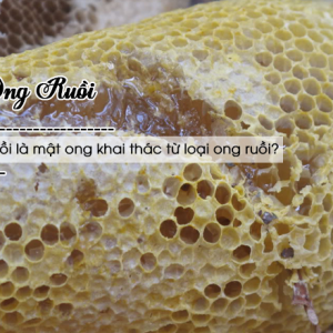 Đặc điểm của mật ong ruồi