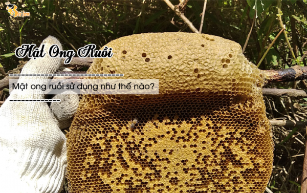 Mật ong ruồi sử dụng như thế nào
