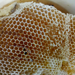 bán mật ong rừng nguyên chất