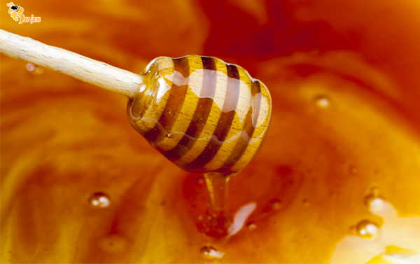 bán mật ong nguyên chất tại TpHCM