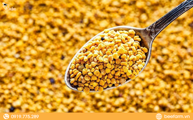 uống phấn hoa mật ong có tác dụng gì