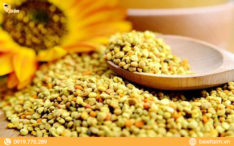 phấn hoa ngâm mật ong có tác dụng gì